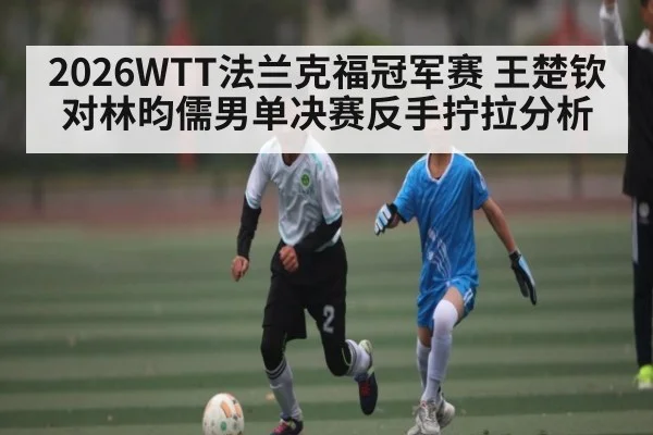 2026WTT法兰克福冠军赛 王楚钦对林昀儒男单决赛反手拧拉分析